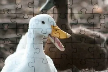 MARSU jigsaw puzzle