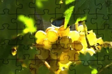 MARSU jigsaw puzzle