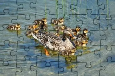 MARSU jigsaw puzzle