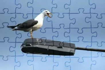 MARSU jigsaw puzzle