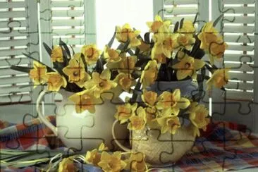 Spring flower Narcissus