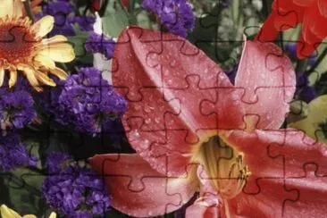 Flowers sprinkled with Dew