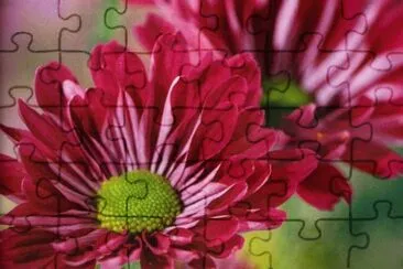Flors