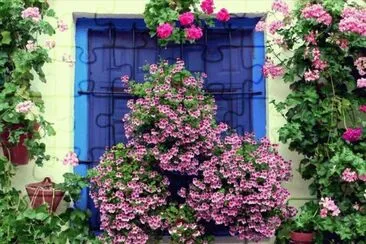 Ventana con flores jigsaw puzzle