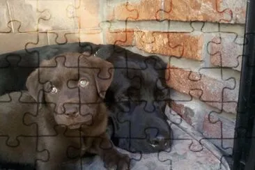 Igor y Kaatia bebÃ© jigsaw puzzle
