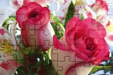 Beautiful Roses jigsaw puzzle