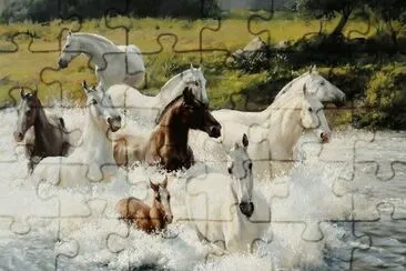 cavalos