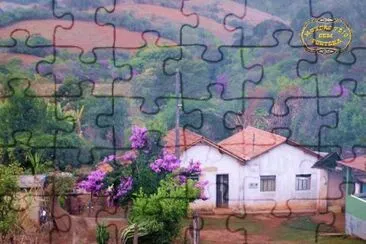 flor jigsaw puzzle