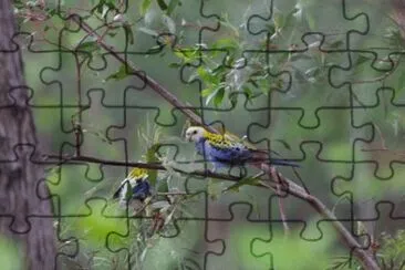 MARSU jigsaw puzzle