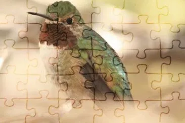 MARSU jigsaw puzzle