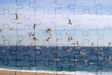 MARSU jigsaw puzzle