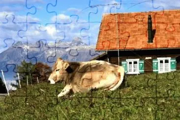 MARSU jigsaw puzzle
