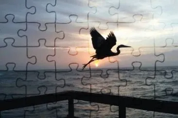 MARSU jigsaw puzzle
