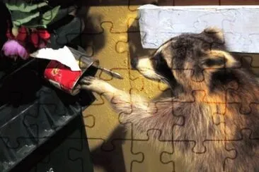 MARSU jigsaw puzzle