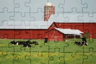 MARSU jigsaw puzzle