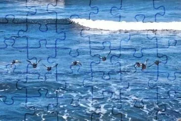 MARSU jigsaw puzzle