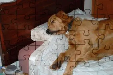 MARSU jigsaw puzzle