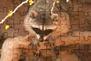 MARSU jigsaw puzzle