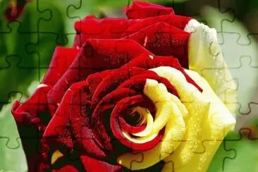 פאזל של Fantasy Rose