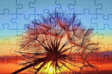 Dandelion jigsaw puzzle