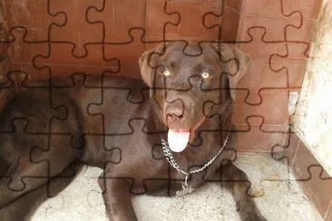 Katia jigsaw puzzle