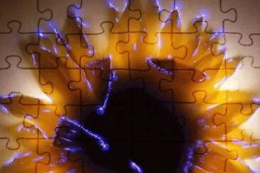 Margarita jigsaw puzzle