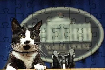 MARSU jigsaw puzzle