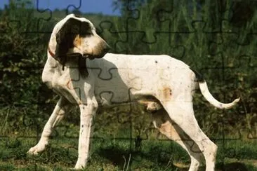 Gascon Saintongeois jigsaw puzzle