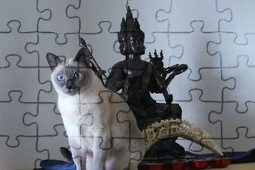 Tonquines jigsaw puzzle