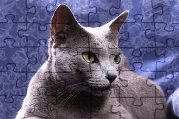 Azul Ruso jigsaw puzzle