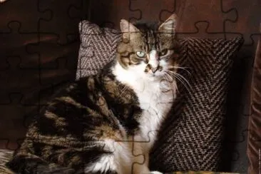 Comun Europeo jigsaw puzzle