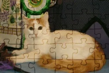 Van Turco jigsaw puzzle