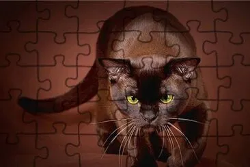 Habana Brown jigsaw puzzle