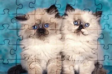 Himalayo jigsaw puzzle