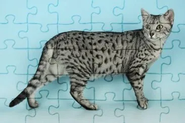 Mau Egipcio jigsaw puzzle