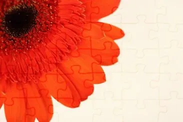 MARSU jigsaw puzzle