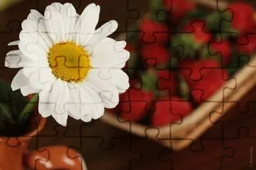 MARSU jigsaw puzzle