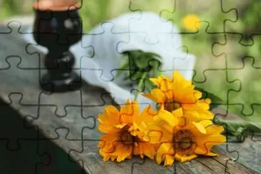 MARSU jigsaw puzzle