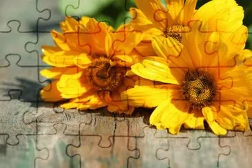 MARSU jigsaw puzzle