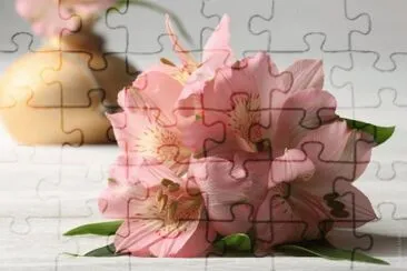 MARSU jigsaw puzzle