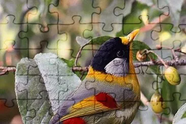 passaro na oliveira jigsaw puzzle