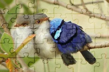 familia de pÃ¡ssaros jigsaw puzzle