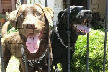 a pasear jigsaw puzzle