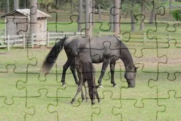 Cadillac and Mom jigsaw puzzle
