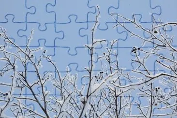 MARSU jigsaw puzzle