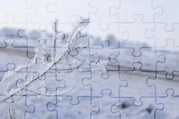 MARSU jigsaw puzzle
