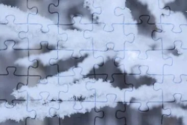 MARSU jigsaw puzzle