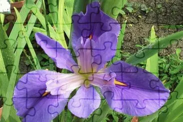 èŠ± jigsaw puzzle