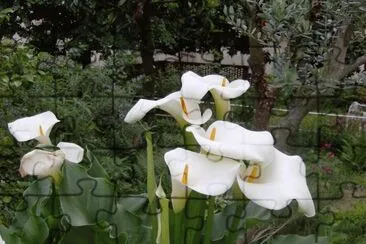 d jigsaw puzzle