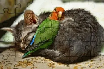 v jigsaw puzzle
